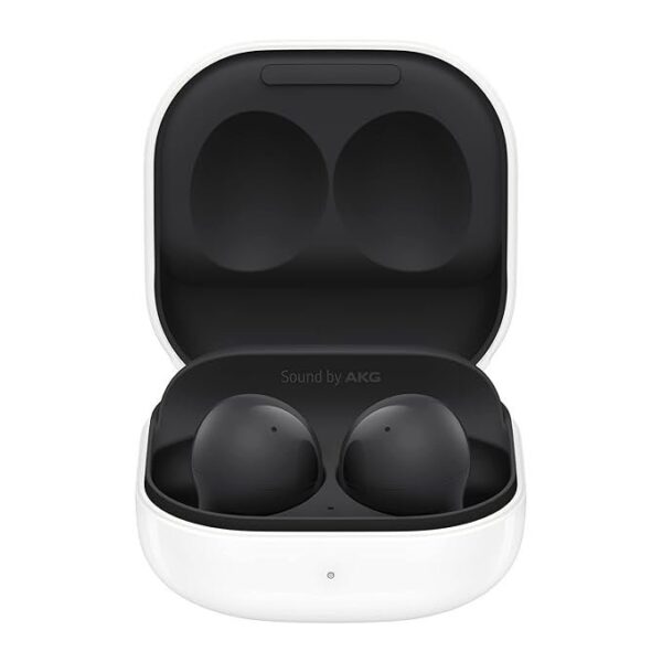 Samsung Galaxy Buds 2, Graphite